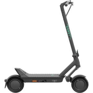 Electric Scooter Egret Ey! 1